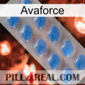 Avaforce 22